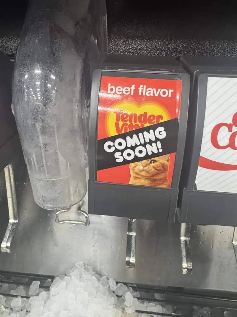A soda fountain dispenser surprisingly labeled with a "Beef Flavor" cat food advertisement coming soon.