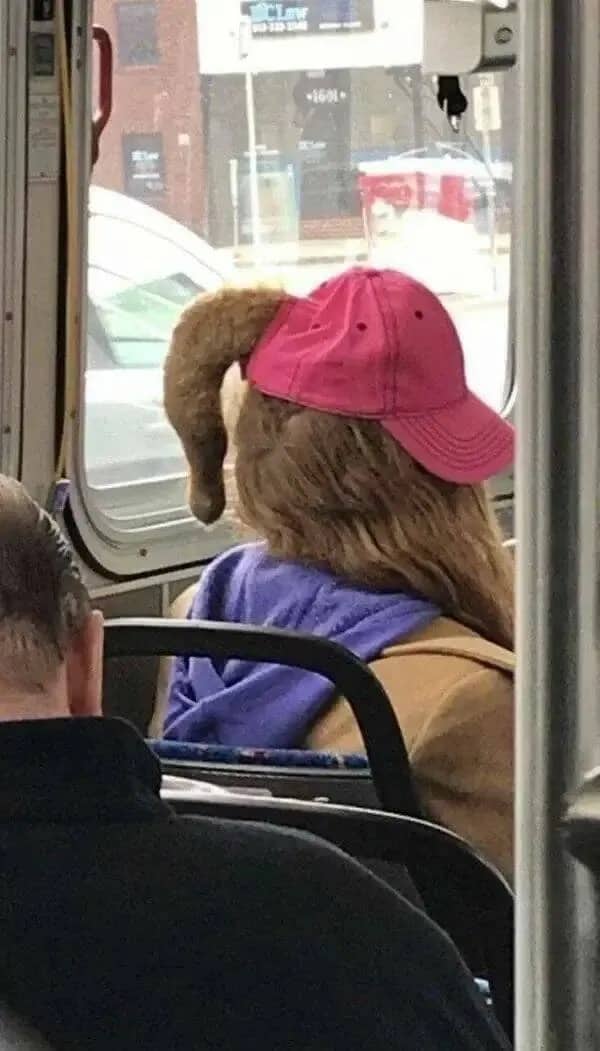 A person on a bus wearing a pink hat with a thick ponytail sticking out.