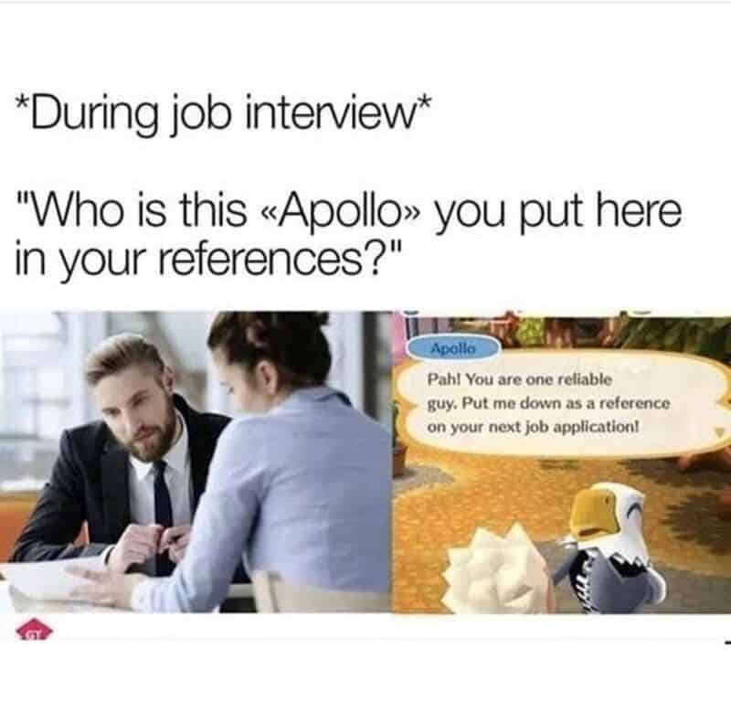 A funny meme about work where an interviewer questions a bizarre job reference, revealing the applicant confidently listed the eagle villager Apollo from the Animal Crossing video game because he called them a reliable guy.