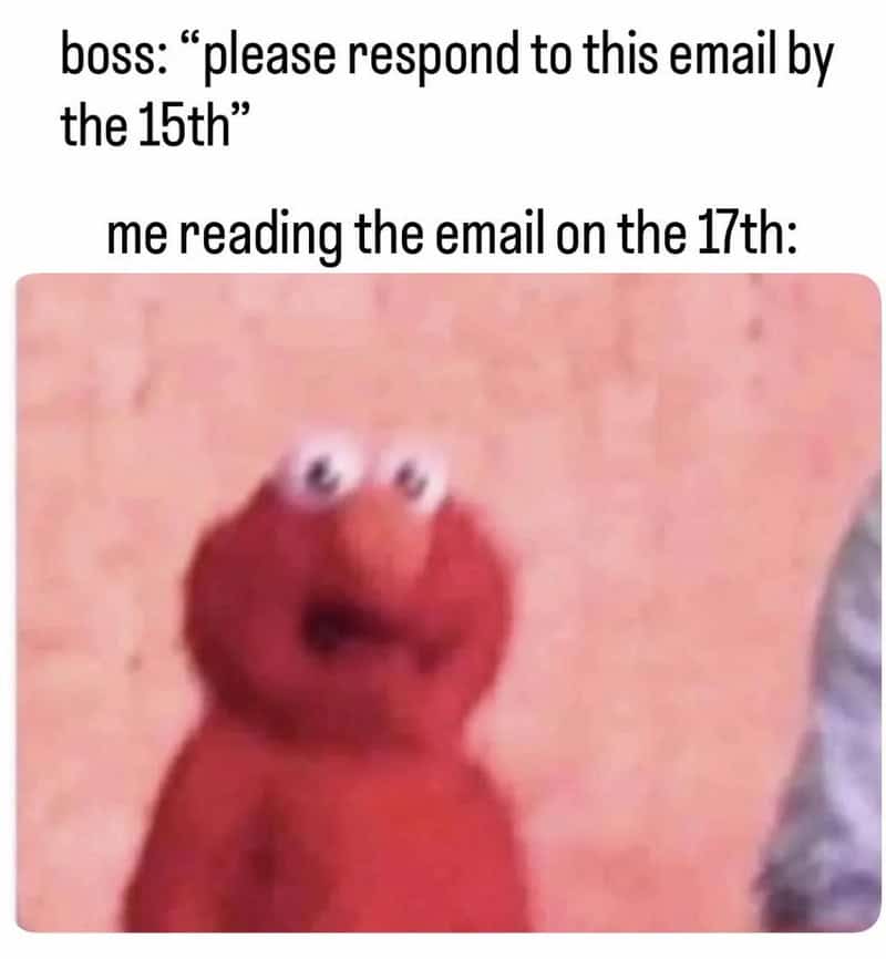 A panicked and deeply blurry image of Elmo perfectly capturing the sheer terror of a work meme where you suddenly read an email on the seventeenth that your boss strictly needed a reply to by the fifteenth.
