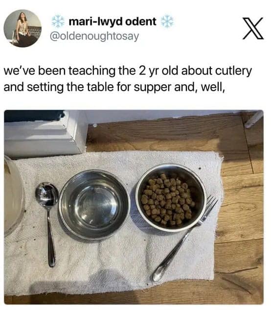 A visual parenting meme showing a literal application of a lesson. A parent shares an image of their dog's water and food bowls meticulously "set" on a white towel with a polished metal spoon and fork, explaining that their 2-year-old is learning how to set the table for dinner.