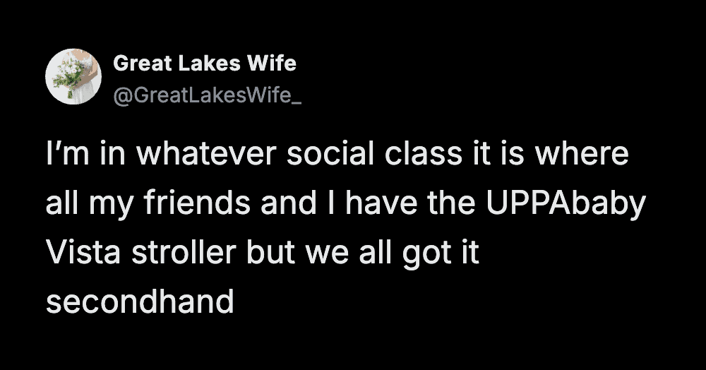 A hyper-specific funny parenting tweet by Great Lakes Wife about a very particular "social class." She describes the tier of parenting where everyone has an expensive UPPAbaby Vista stroller, but they all bought them secondhand.