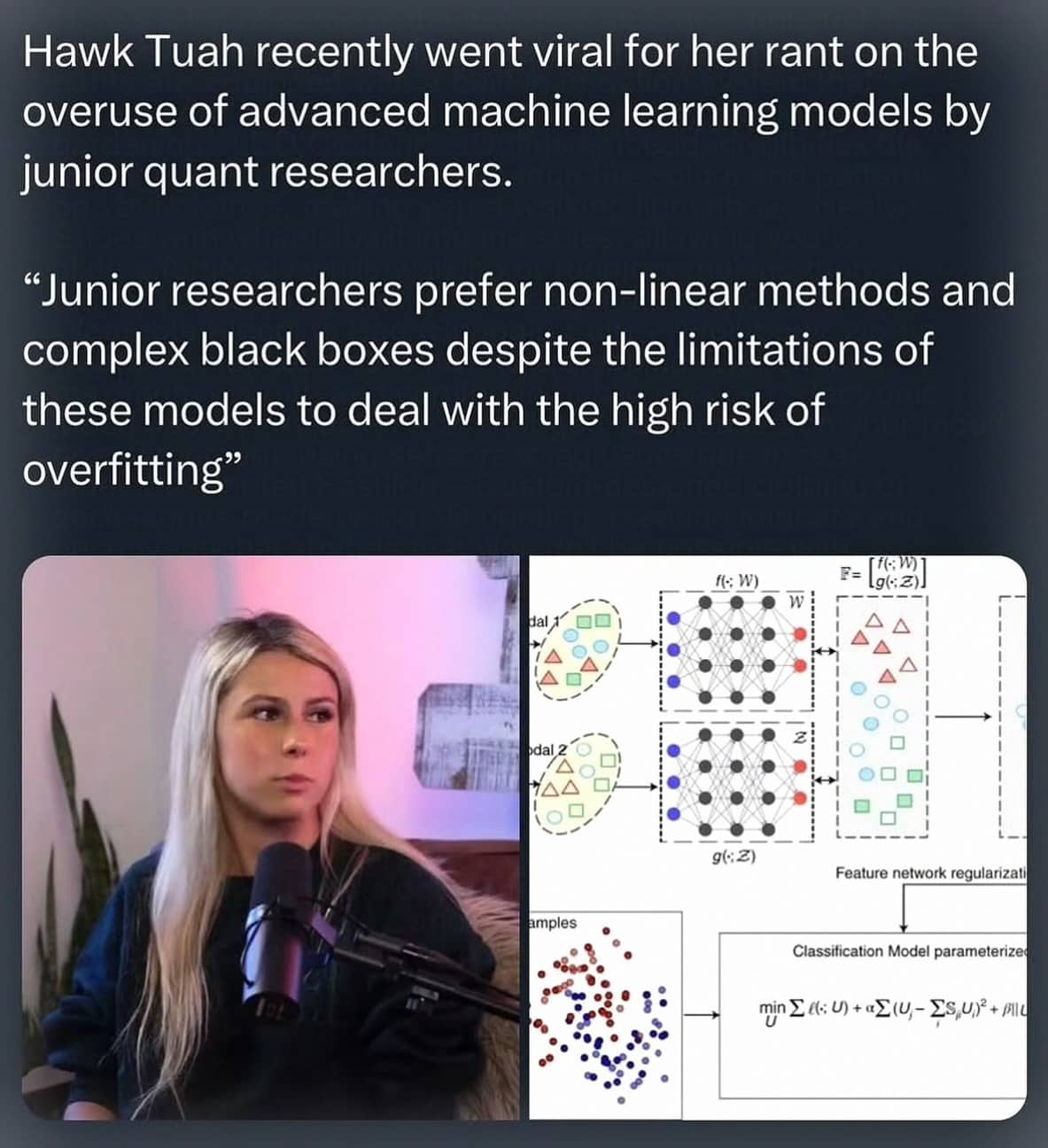 Meme featuring the Hawk Tuah girl captioned with complex machine learning and overfitting jargon.