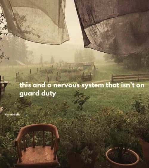 Peaceful rainy garden view from a porch with text about relaxing a guarded nervous system.