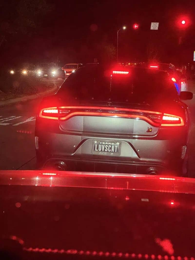 Rear view of a gray Dodge Charger at night with a vanity license plate reading LUVSCAT.
