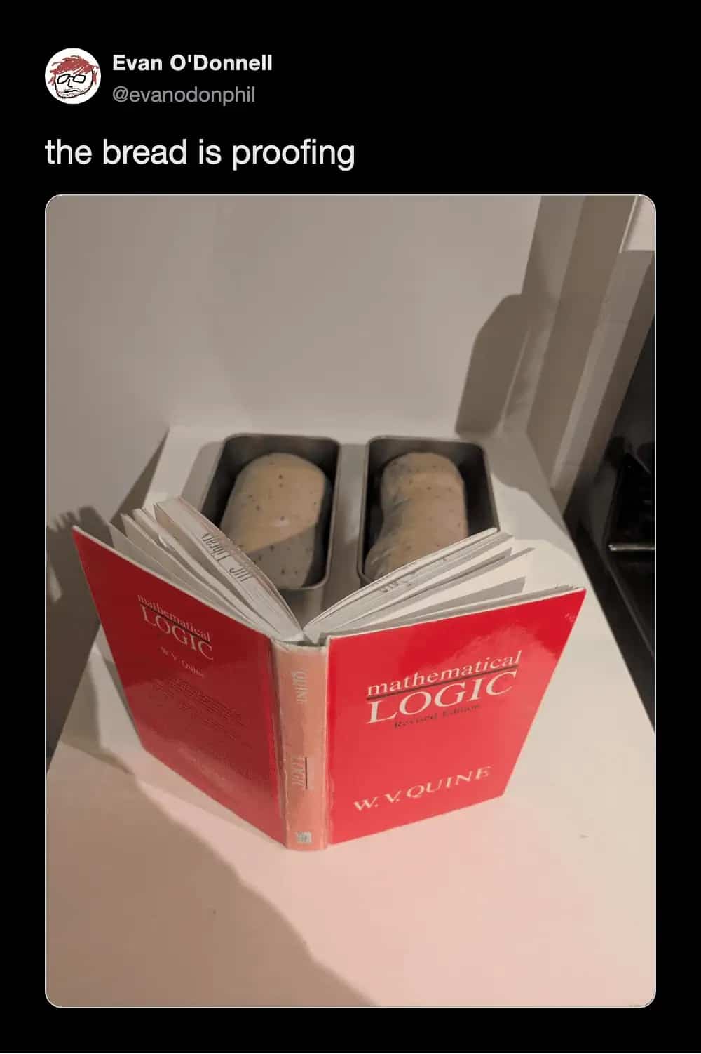 Literal pun showing unbaked bread loaves placed behind a textbook titled Mathematical Logic for "bread proofing."