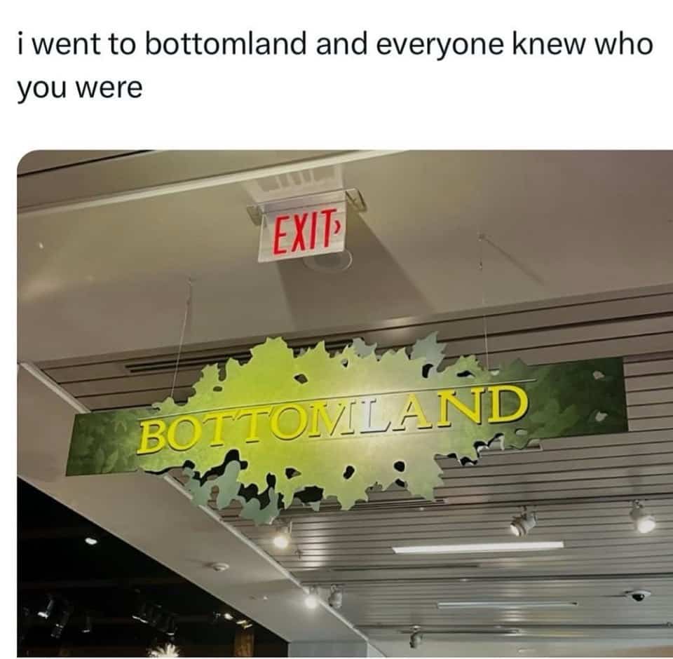 Humorous photo of a Bottomland sign located under an exit light with a caption about everyone knowing who you are.