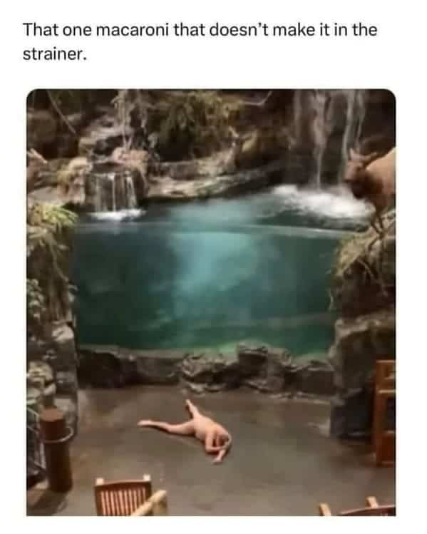 A lone man lying facedown on the floor of a large aquarium exhibit representing a stray macaroni.