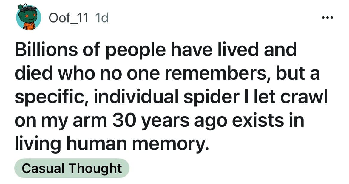 existential funny shower thought from Oof_11 about the bizarre fragility of legacy: "Billions of people have lived and died who no one remembers, but a specific, individual spider I let crawl on my arm 30 years ago exists in living human memory."