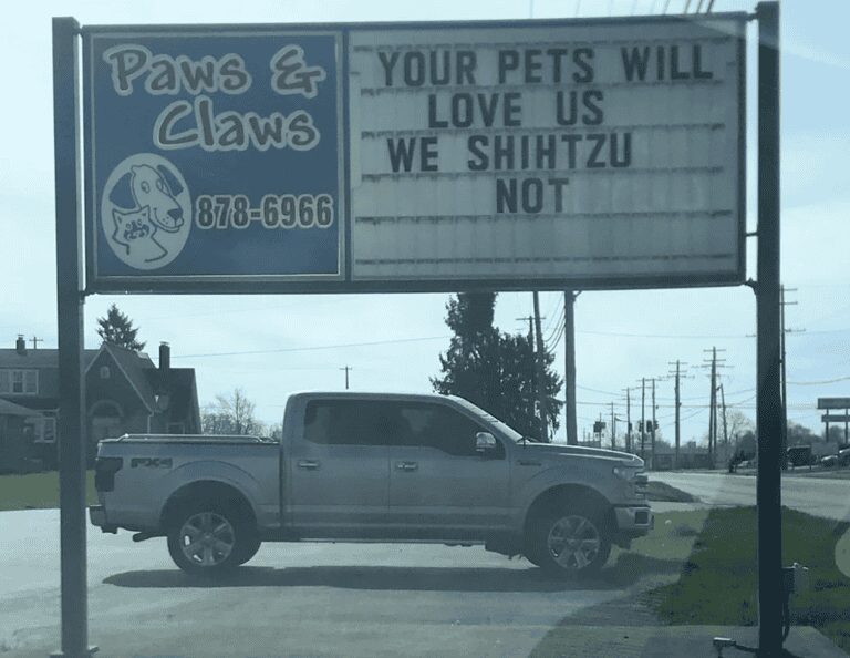 A funny sign for a pet business named "Paws & Claws." The roadside marquee features a bold pun that surely gets drivers' attention: "YOUR PETS WILL LOVE US WE SHIHTZU NOT," replacing a vulgarity with a common dog breed name.
