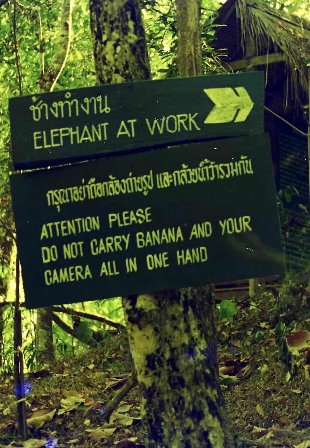 cautionary jungle sign warns visitors not to attempt the precarious juggling act of holding a banana and a camera in the same hand near working elephants.