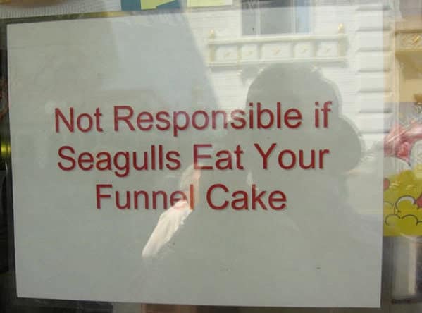 A blunt funny sign taped to a window at a coastal eatery. In simple red block letters, it declares the shop is "Not Responsible if Seagulls Eat Your Funnel Cake," a specific and common seaside struggle.