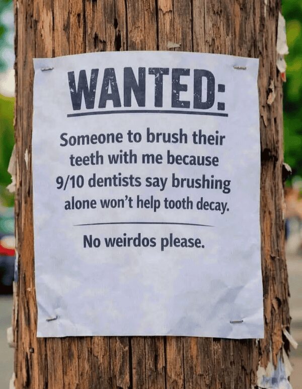 A bizarre and lonely funny sign stapled to a wooden utility pole. The "WANTED" flyer asks for a dental partner because "9/10 dentists say brushing alone won’t help tooth decay," ending with the ironic plea, "No weirdos please."