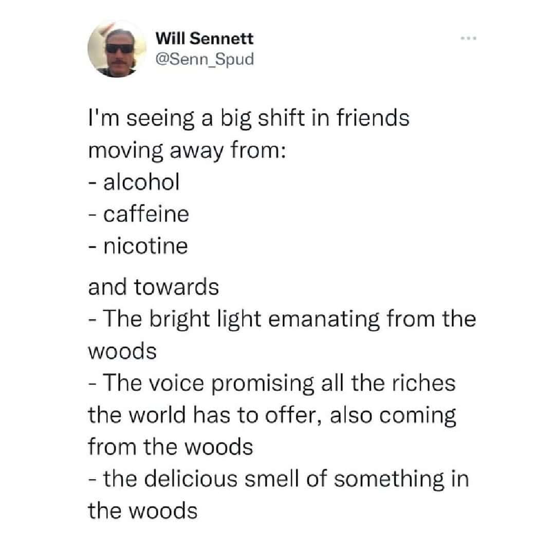 A surreal shift from standard vices to supernatural forest entities defines this funny sobriety meme, listing a transition away from alcohol and towards following mysterious voices into the woods.