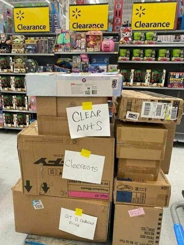 Hand-written notes on cardboard boxes spelling "Clear Ants" and "Cleerants" for a clearance sale.
