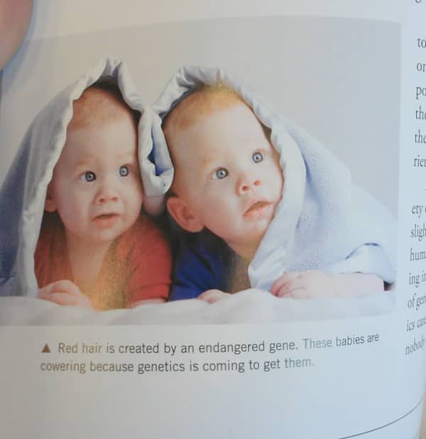 Textbook page showing red-haired babies with a caption about genetics coming to get them.