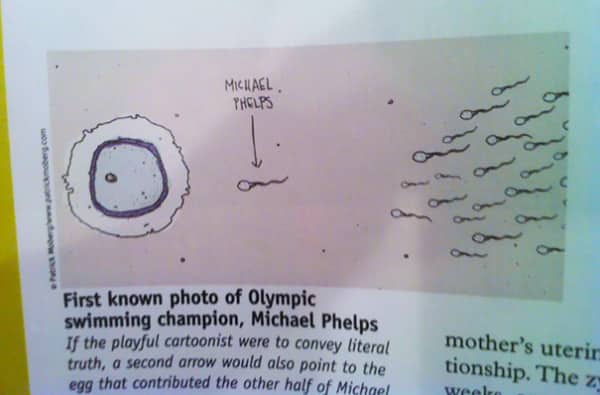 Playful textbook diagram claiming to show the first known photo of Michael Phelps as sperm.