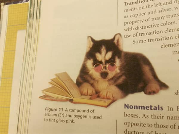 Chemistry textbook featuring a husky puppy wearing pink sunglasses to illustrate erbium tinted glass.