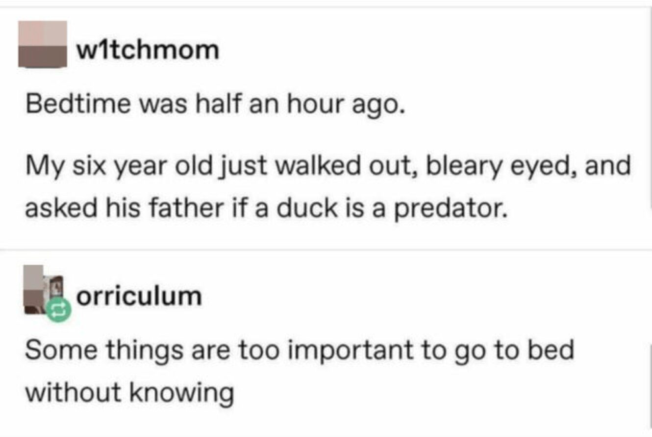 tweet about the survival instincts in funny things kids say, where a parent tests their 3-year-old on what to do if they found their parent unconscious, only for the child to decide she would simply "go into the kitchen and eat anything I want."