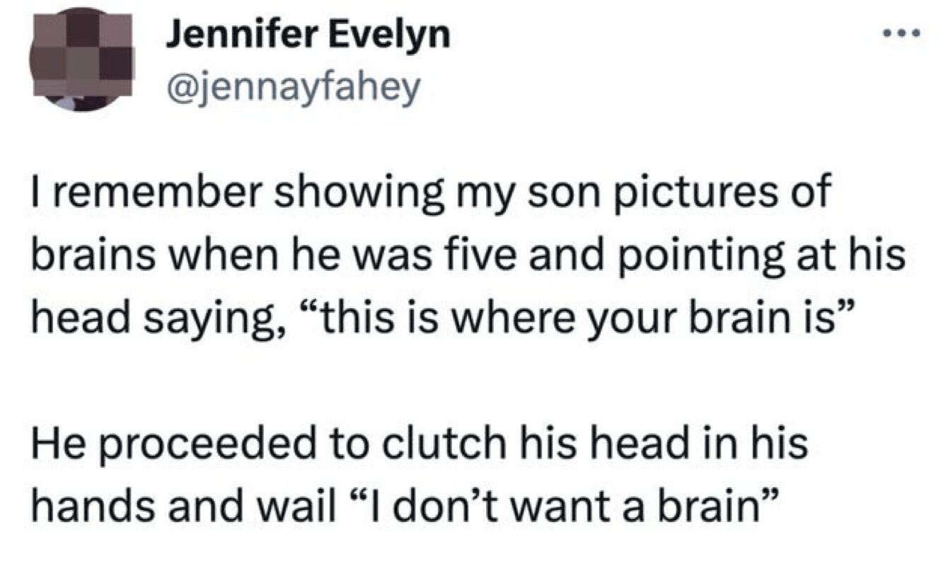relatable tweet about the existential crises found in funny things kids say, where a 5-year-old clutches his head and wails "I don't want a brain" after his mother shows him a picture of what is inside his skull.