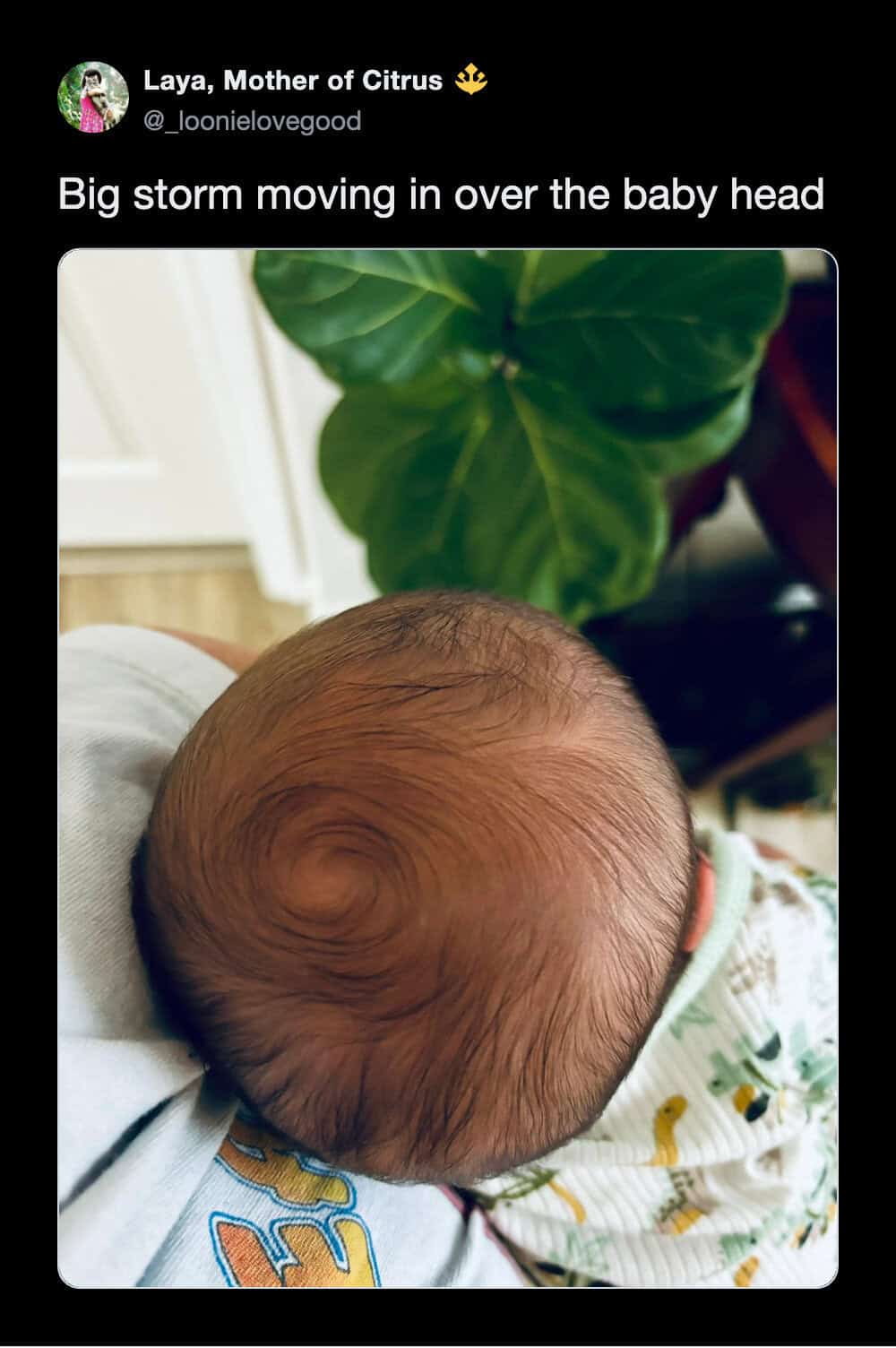 A funny tweet showing a close-up of a baby's head with a massive, swirling hair cowlick that looks exactly like a hurricane radar map, brilliantly captioned big storm moving in over the baby head in one of the funniest tweets about kids.