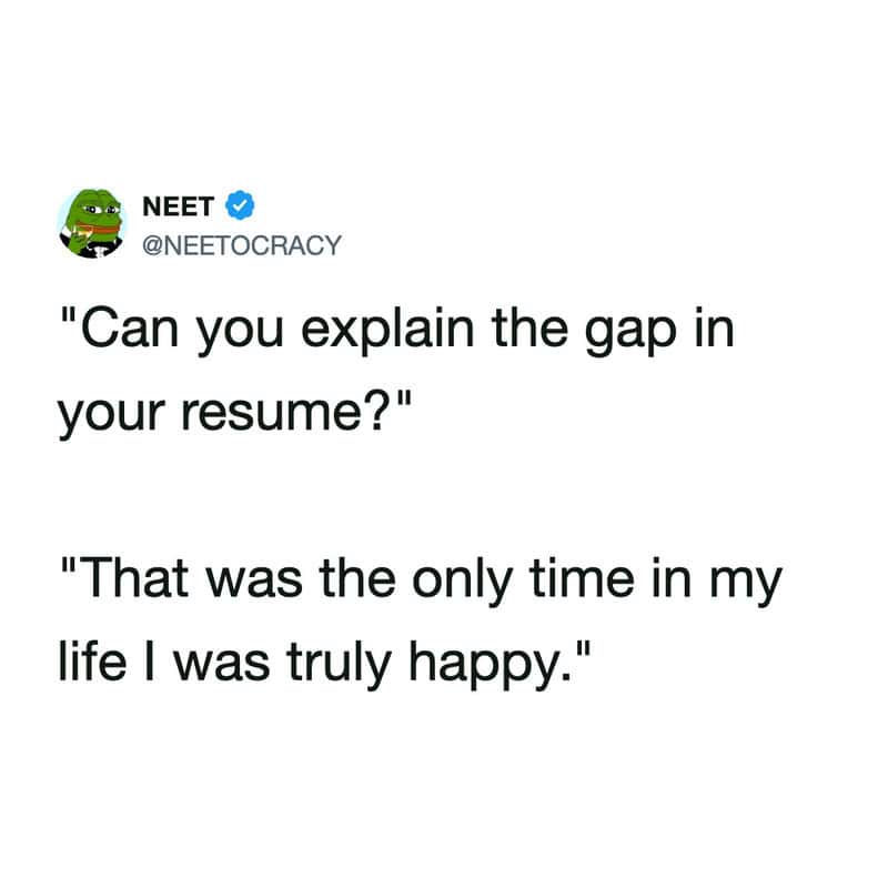 funny work tweet justifying an extended period of unemployment by casually reminding the interviewer that television genuinely just got incredibly good for a few years.