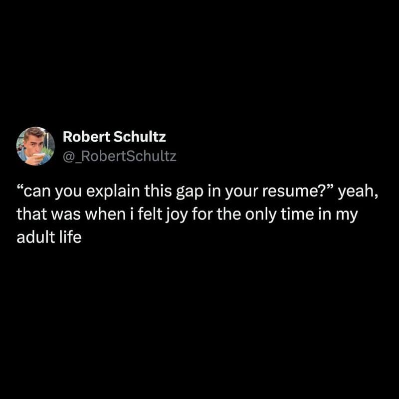 darkly comedic funny work tweet where a job applicant brutally explains the gap in their resume by confessing it was the only time they actually felt joy in their entire adult life, an iconic anti-capitalist work meme.