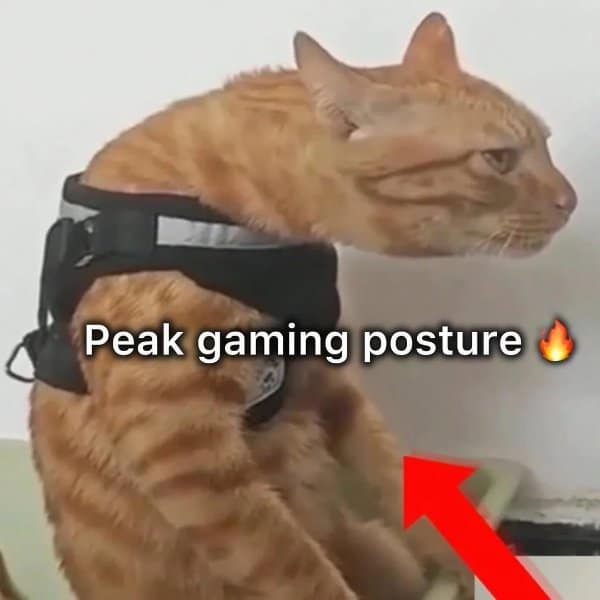 An orange cat with a severely hunched neck represents the chaotic "peak gaming posture" many players adopt during intense sessions in this hilarious video game meme.