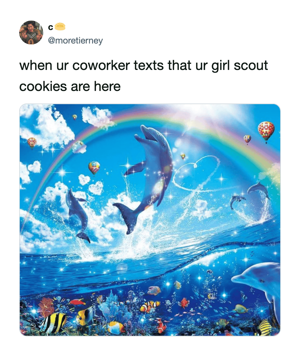 nostalgic and magical girl scout cookie meme using a glowing Lisa Frank style illustration of dolphins jumping through a sparkling rainbow ocean to perfectly represent the pure joy of a coworker announcing the delivery has arrived.