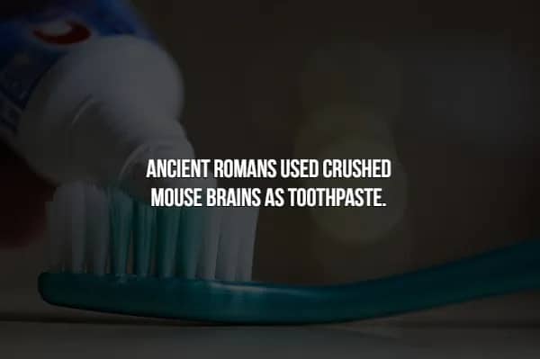 Fact slide claiming Ancient Romans used crushed mouse brains as a form of toothpaste.
