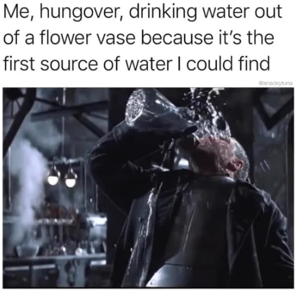 A knight in full plate armor aggressively chugging water from a decorative flower vase defines the desperate search for hydration in this relatable hangover meme.