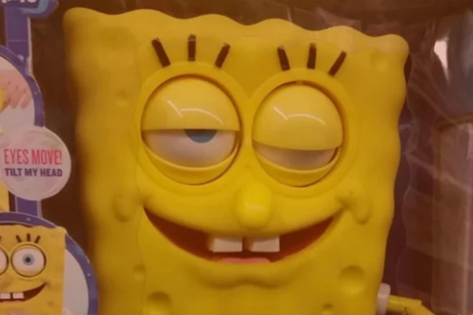 visual diary of post-drinking recovery defines this hungover meme collection, showcasing a majestic fox vs taxidermy comparison, a baby sleeping on a loaf of bread, and a knight desperately chugging water from a vase.