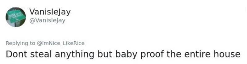 Text post suggesting a burglar should steal nothing but instead baby proof the victim's entire house.