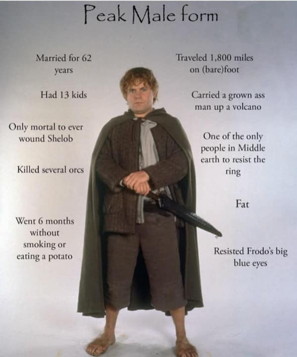 lord of the rings meme labeling Samwise Gamgee as the "Peak Male Form," listing his legendary stats including traveling 1,800 miles barefoot, having 13 kids, and resisting Frodo’s "big blue eyes."