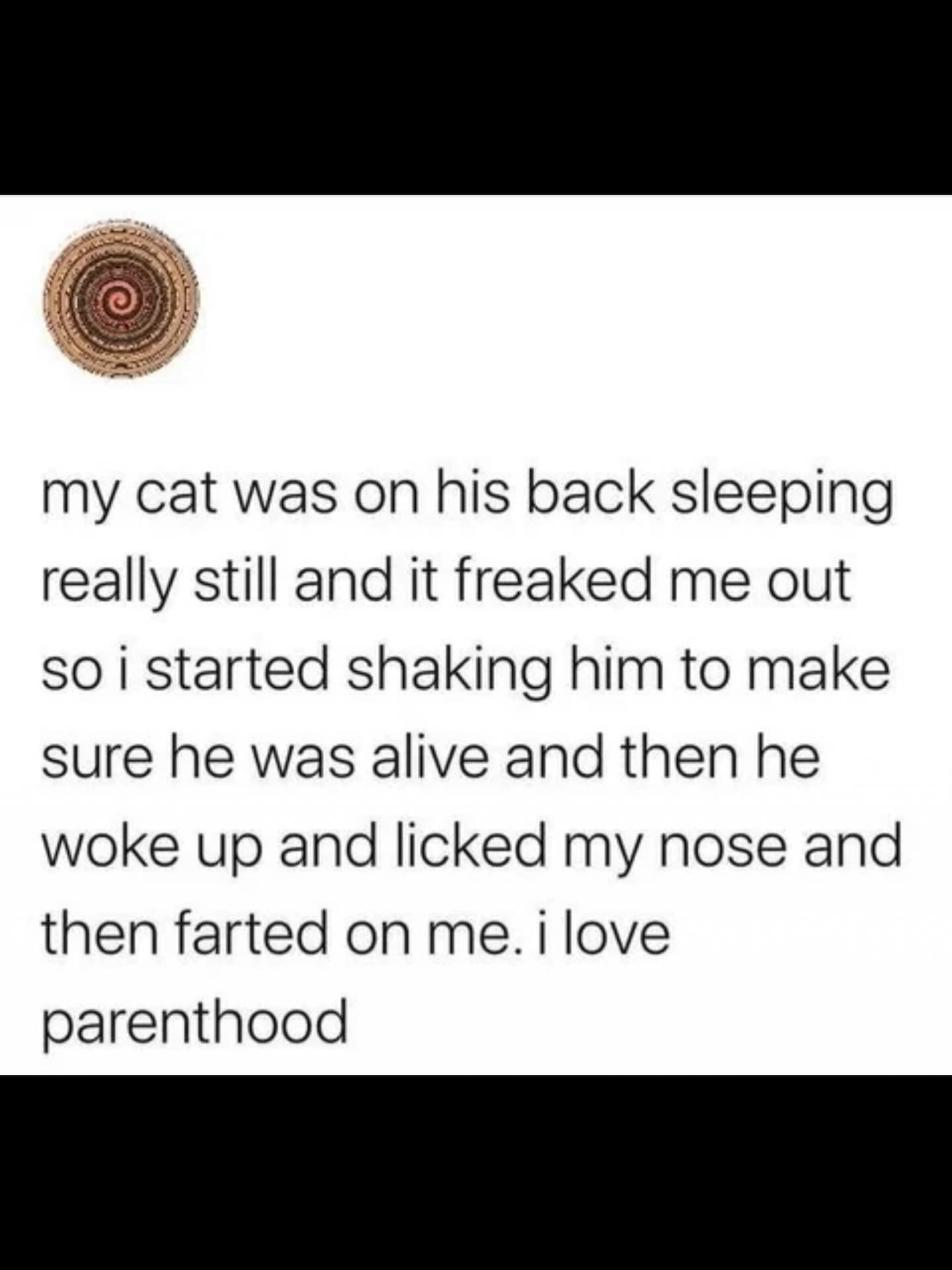 relatable internet meme features a text story about a pet owner's momentary panic turning into amusement after their cat wakes up from a deep sleep just to lick their nose and pass gas.