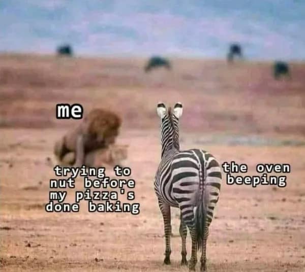 An absurd nature-themed meme comparing the raw intensity of a mating lion to the frantic, high-stakes race of trying to finish a private personal task before the pizza oven starts beeping.