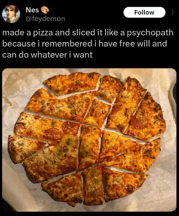 hilarious meme from this meme dump showing a pizza sliced into chaotic, nonsensical polygons by a user who claims they did it simply because they remembered they have "free will" and can do whatever they want.