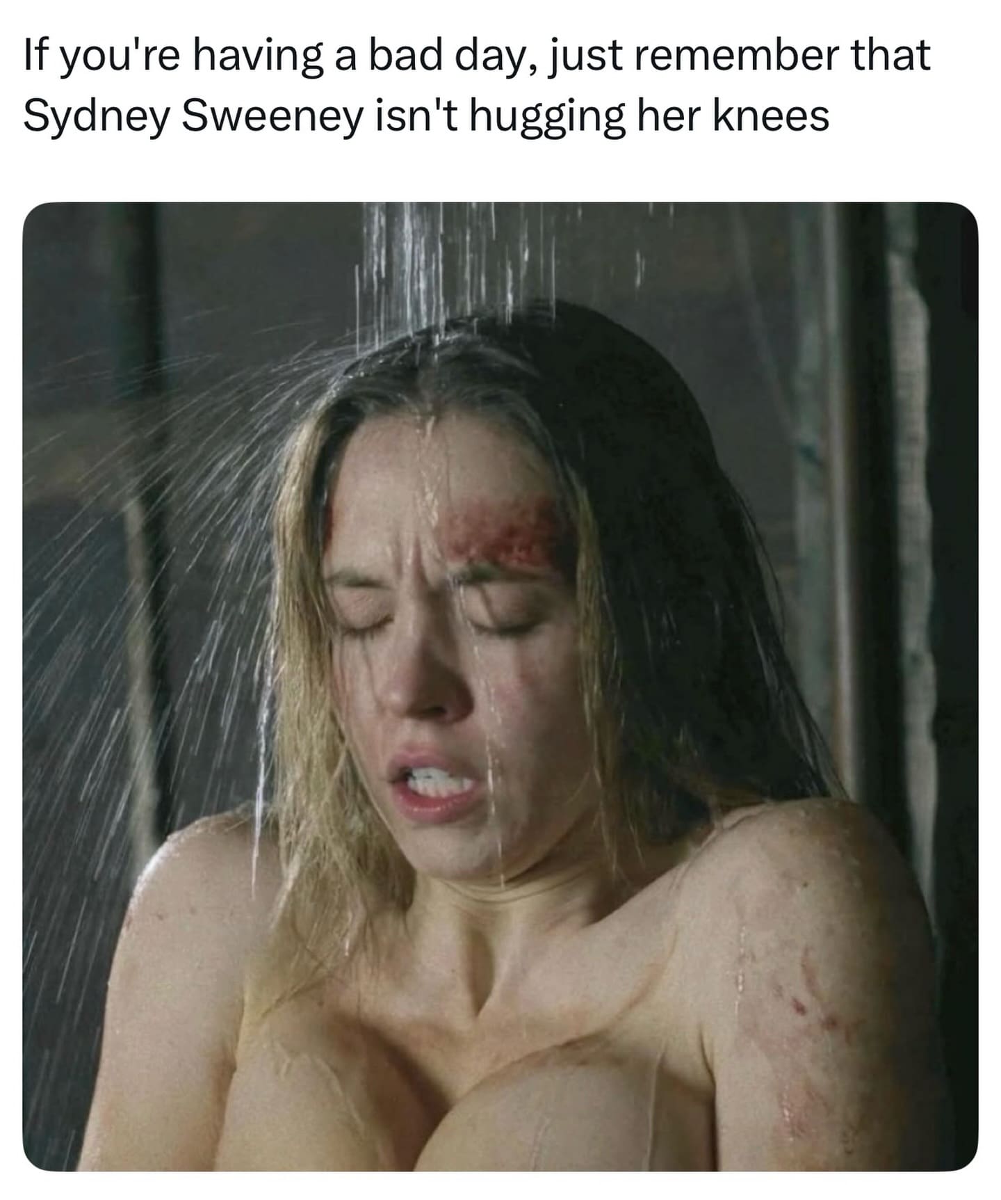 A suggestive meme dump entry featuring a still of Sydney Sweeney in a shower from the show Euphoria. The text above reads: "If you're having a bad day, just remember that Sydney Sweeney isn't hugging her knees," making a crude visual joke about her physique.