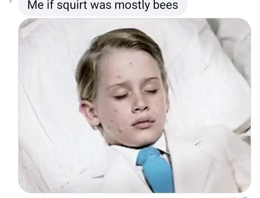 Macaulay Culkin looking incredibly pale and asleep in a suit with the bizarre caption Me if squirt was mostly bees. Weird internet humor and funny memes