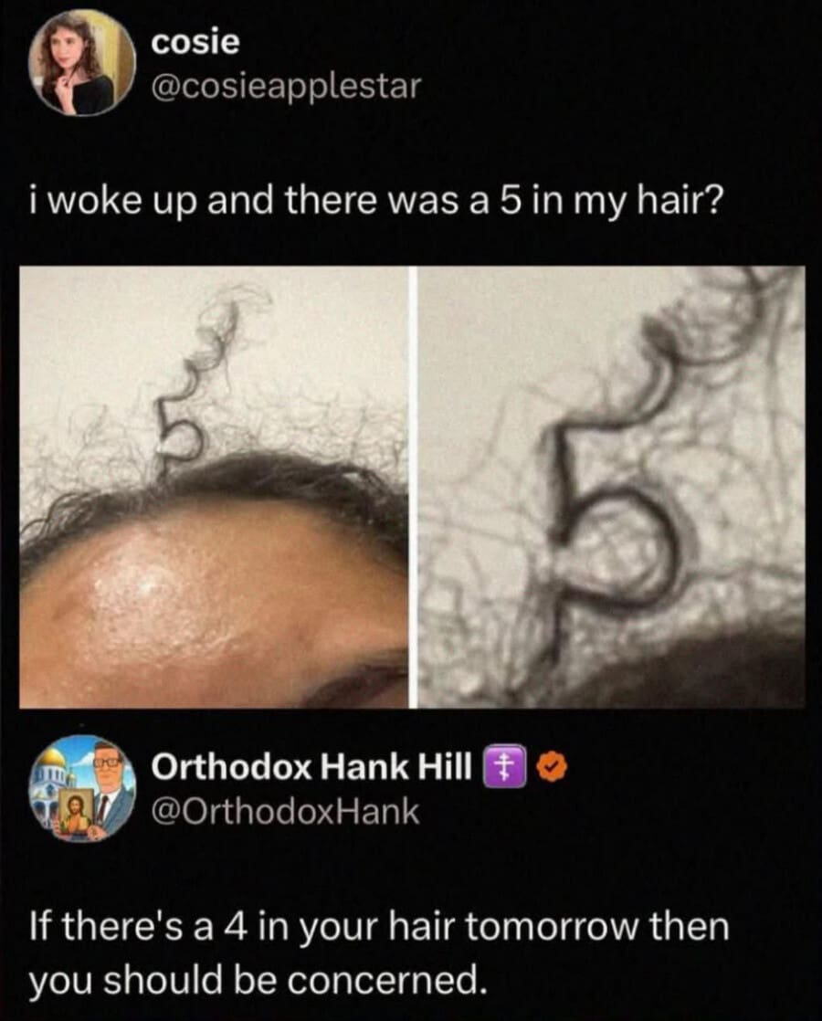 A mysterious and ominous hair curl in the perfect shape of the number "5" creates a countdown-themed horror joke in this quirky meme dump screenshot.