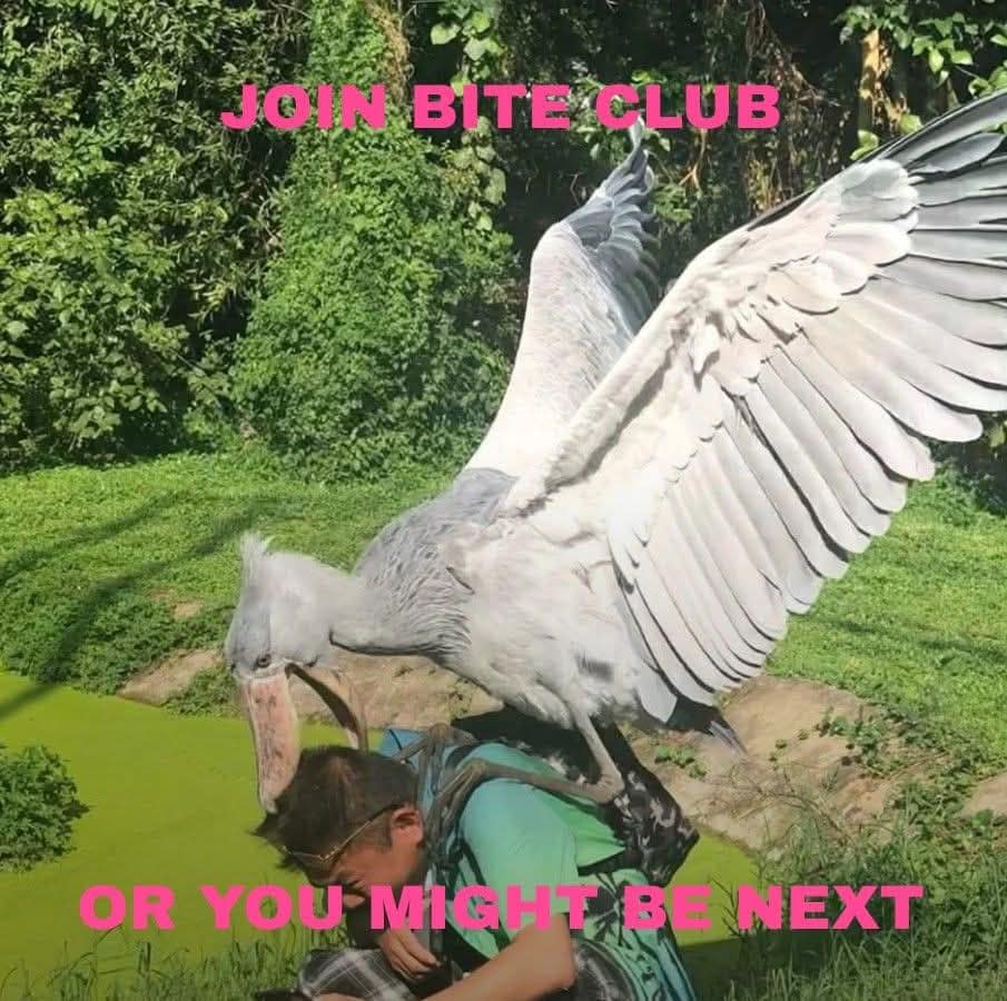 Capturing a strangely whimsical automotive modification, this internet meme features a red pickup truck tailgate with a miniature arched doorway and shutters installed, peering into a cargo bed that doubles as a motorcycle garage