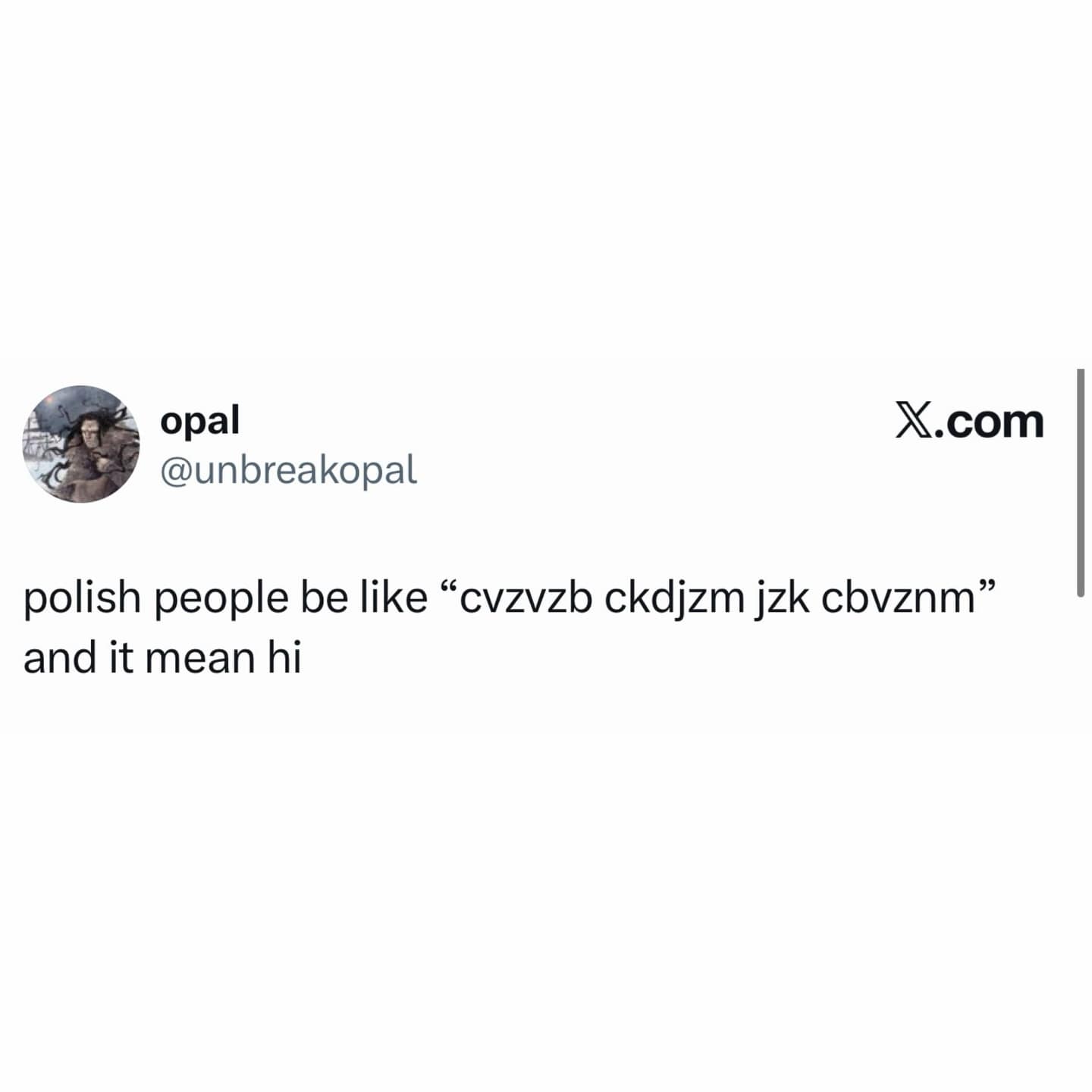 linguistic meme dump tweet poking fun at the consonant-heavy nature of the Polish language, claiming a phrase like "cvzvzb ckdjzm jzk cbvznm" would simply translate to "hi."