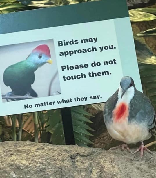 A "cursed" meme dump image showing a bare foot submerged in a public sand-filled ashtray full of cigarette butts. The photo is sarcastically captioned in elegant cursive: "That beach feeling" with a heart emoji.