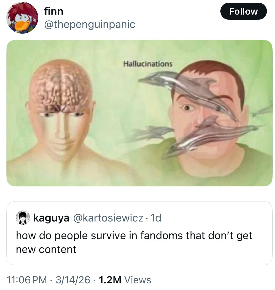 The specific madness of a content-starved fan is captured in this chaotic meme dump visual, depicting dolphins hallucinatory-exploding from a person's face to illustrate fandom survival