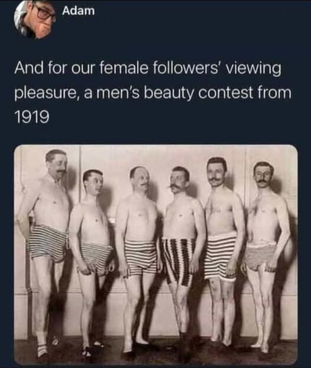 A "Different Mating Calls of the Animal Kingdom" collage. It features a frog, a peacock, and a deer, concluding with a final panel of a woman saying the ultimate modern "mating call": "I like your memes".