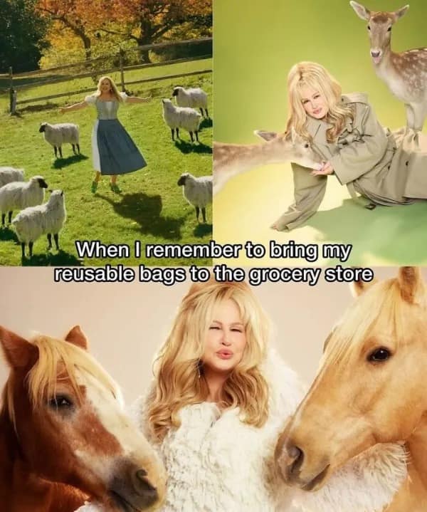 Jennifer Coolidge posing majestically with farm animals and wildlife. A relatable joke about feeling like an absolute nature goddess when remembering to bring reusable grocery bags in this meme dump.