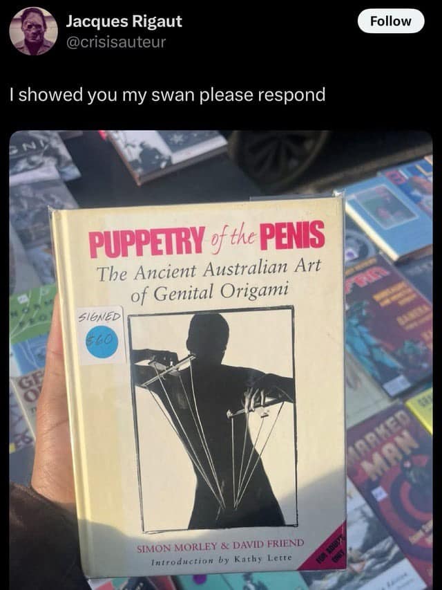A wildly inappropriate and hilarious meme featuring a tweet begging for a response after showing off a swan made using the deeply cursed techniques from the book Puppetry of the Penis, a standout in this meme dump.