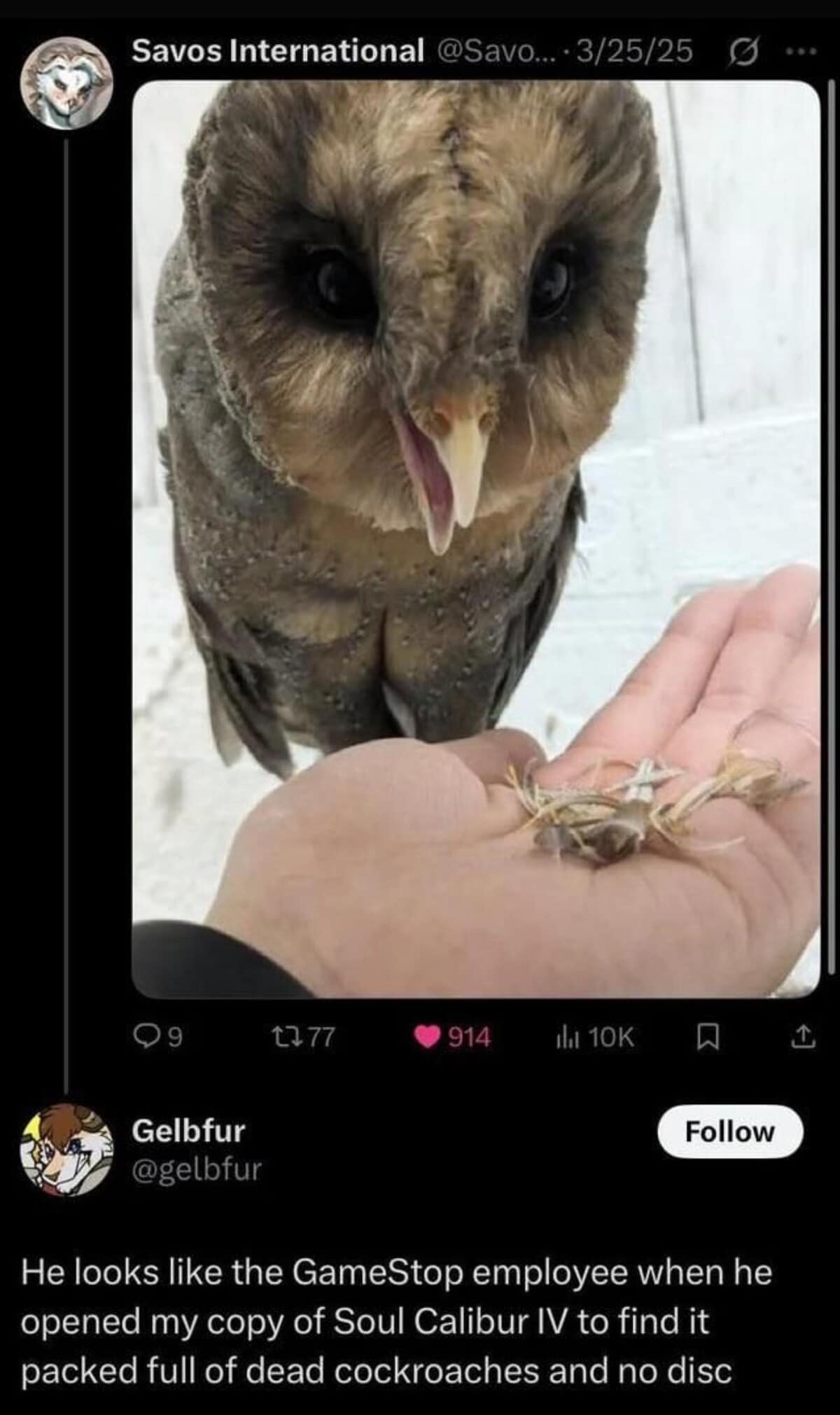 relatable and slightly cursed funny meme showing an owl staring down at a handful of dead cockroaches, compared to a GameStop employee opening a used game case in this unhinged meme dump.