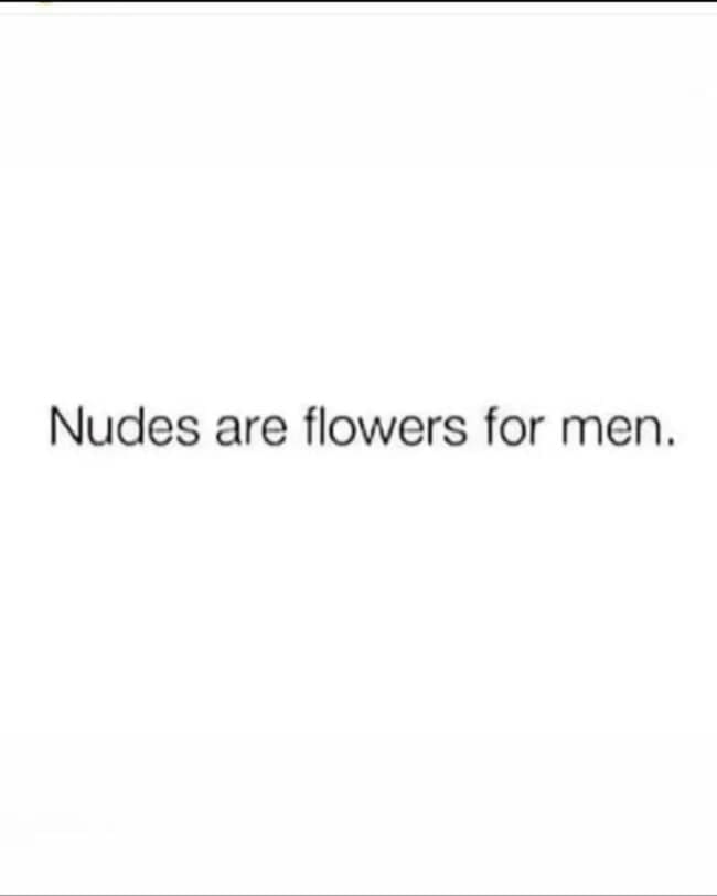 A bluntly honest text post in this meme dump stating a profound truth about modern dating dynamics, simply declaring that nudes are flowers for men.