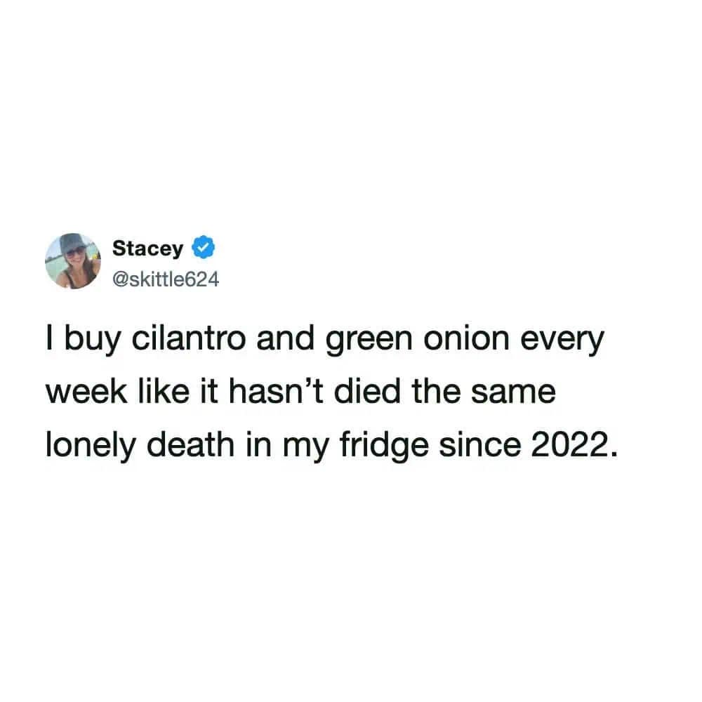 Relatable tweet about constantly buying cilantro and green onions every week just to let them die a lonely death in the fridge. Highly accurate funny memes